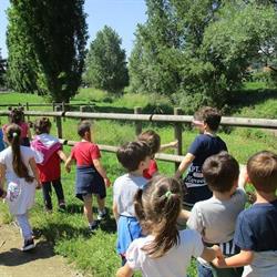 Scuola Materna Del Secco Abelli, Montevarchi orari di apertura