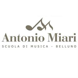 Scuola Comunale Di Musica A. Miari, Belluno orari di apertura