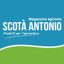Scota' Antonio, Carpesica orari di apertura