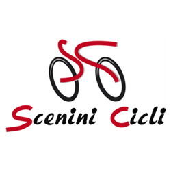 Scenini Sauro Snc Riparazione automobili e biciclette, Mandello del Lario orari di apertura
