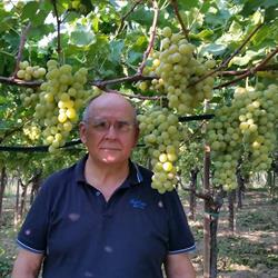 Scalera, Chieti orari di apertura