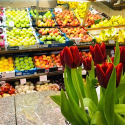 EDEN Frutta e Verdura, Marostica orari di apertura