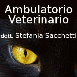 Veterinario Scacchetti Stefania, Cavallermaggiore orari di apertura