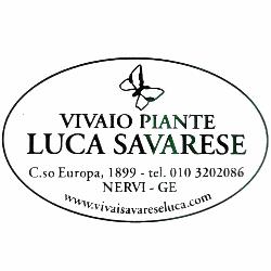 Vivaio Savarese Luca, Genova orari di apertura