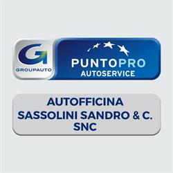 Sassolini Sandro & C. (S.n.c.), Castelfranco di Sopra orari di apertura