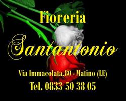 Arte Funebre Soc. Coop. Santantonio, Matino orari di apertura