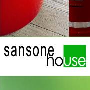 Sansone SRL, Torino orari di apertura