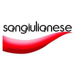 SANGIULIANESE TRASLOCHI srl, San Giuliano Milanese orari di apertura