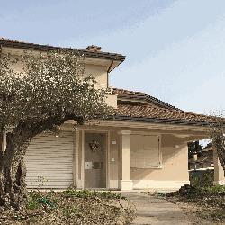 Sammaurese Color, San Mauro Pascoli orari di apertura
