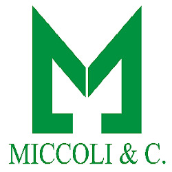 Salone Miccoli, Trieste orari di apertura