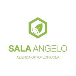 Sala Angelo, Pontevico orari di apertura