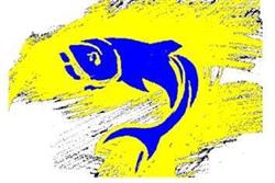 SALARIO PESCA srl, Roma orari di apertura
