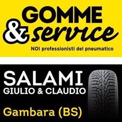 SALAMI GIULIO & CLAUDIO SNC, Gambara orari di apertura