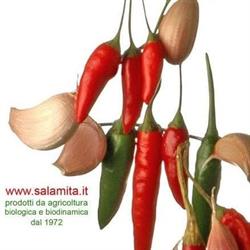 Salamita Soc. Coop., Barcellona Pozzo di Gotto orari di apertura
