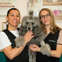 Sala Del Cane Di Zemella Laura, Verona orari di apertura