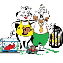 sala del cane, Gravellona Toce orari di apertura