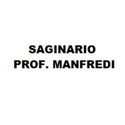Saginario Prof. Manfredi, Parma orari di apertura