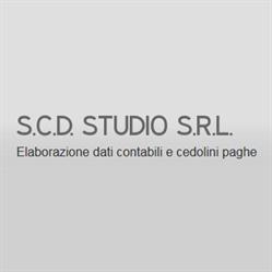 S.C.D. Studio, Nembro orari di apertura