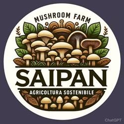 Saipan Soc. agr. s.r.l. - Composto per Funghi, Cava de' Tirreni orari di apertura