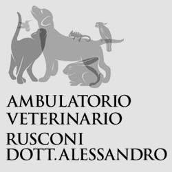 Rusconi Alessandro (Dr.), Rozzano orari di apertura
