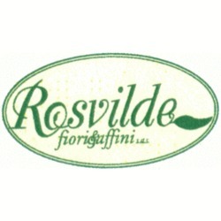 Rosvilde Agenzia Funebre, Nardò orari di apertura