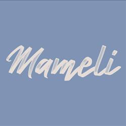 Rosticceria Pizzeria Mameli, Foiano della Chiana orari di apertura