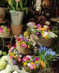 Rosta - Flor, orari di apertura