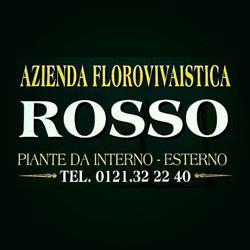 Rosso Floricoltura - Azienda Florovivaistica, Pinerolo orari di apertura