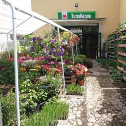 Rossi Luca, Grosseto orari di apertura