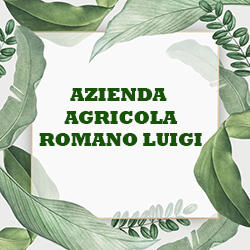 Azienda Agricola Romano Luigi Corigliano-Rossano, Corigliano Calabro - Orari di apertura