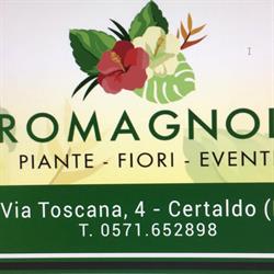 Romagnoli Giovanna piante fiori eventi Certaldo, Canonica Zona Piscina - Orari di apertura