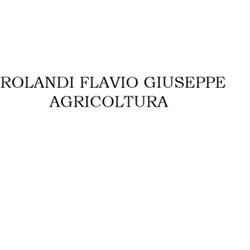 Rolandi Flavio Giuseppe, Sarezzano orari di apertura