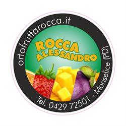 Rocca Alessandro, Monselice orari di apertura