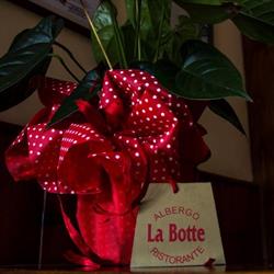 Ristorante-Albergo 'la Botte', Sorano orari di apertura