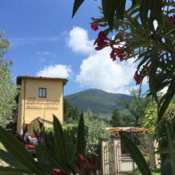 Ristorante Ulivo Rosso, Sesto Fiorentino orari di apertura