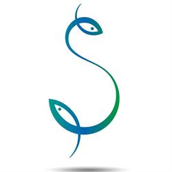 Ristorante Siena, Villafranca di Verona orari di apertura