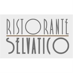 Albergo Ristorante Selvatico, Rivanazzano Terme orari di apertura