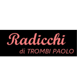 Bar Ristorante Alimentari Radicchi, Vagli Sotto orari di apertura