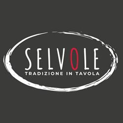 Ristorante Pizzeria Selvole, Castel Goffredo orari di apertura