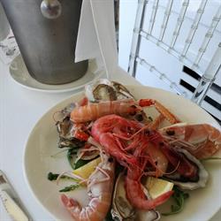 Ristorante Paradiso Selvaggio, Pesco Sannita orari di apertura