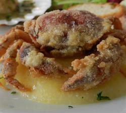 Ristorante Pizzeria Miravalle, Jesolo orari di apertura