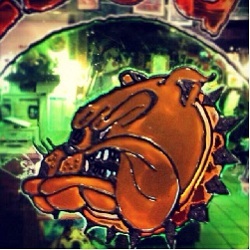 Bulldog, Modena orari di apertura