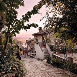 Ristorante Osteria Il Canto Del Maggio, Terranuova Bracciolini orari di apertura