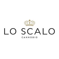 Ristorante Lo Scalo, Cannobio orari di apertura