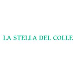 Ristorante Pizzeria La Stella del Colle, Grottazzolina orari di apertura