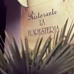 Ristorante pizzeria - La Foresteria (anche camere), Cottanello orari di apertura