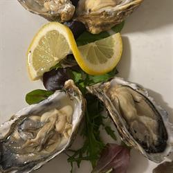 Ristorante Trattoria alla Cappa D'Oro, Stanghella orari di apertura