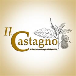 Ristorante Il Castagno Di Iannella Enrico S.a.s., Bassiano orari di apertura