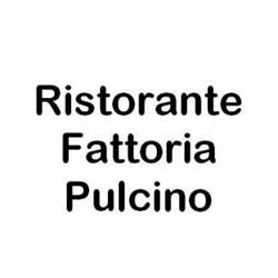 Ristorante Fattoria Pulcino, Montepulciano orari di apertura