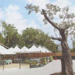 Ristorante Degli Ulivi Teresa, Arienzo orari di apertura